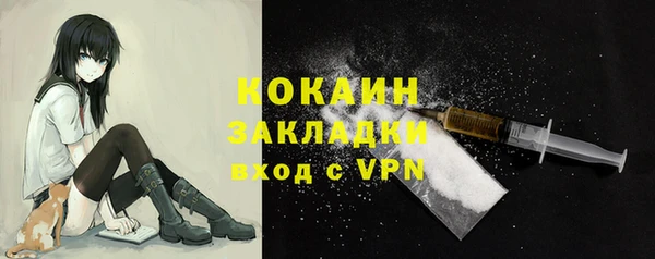гидра Елабуга