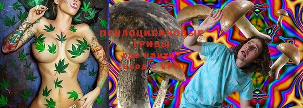 тгк Баксан