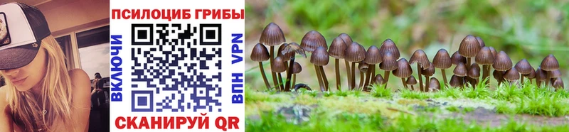 Галлюциногенные грибы Cubensis  наркошоп  Суворов 